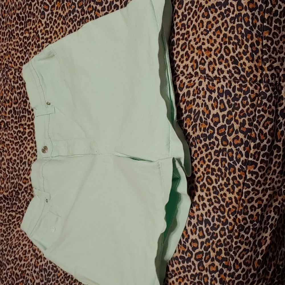 Gloria Vanderbilt size 14 mint green shorts.  5 inches.  Misses size.